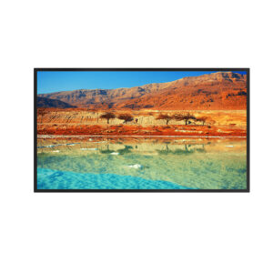 Monitor LED Dahua LM65-S400, 64.5 inch, 4K UHD, VGA, HDMI, difuzor, 60 Hz